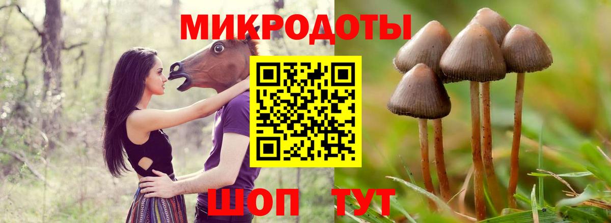 Балашов  Галлюциногенные грибы Cubensis  Вход с VPN  Галлюциногенные грибы Magic Shrooms 